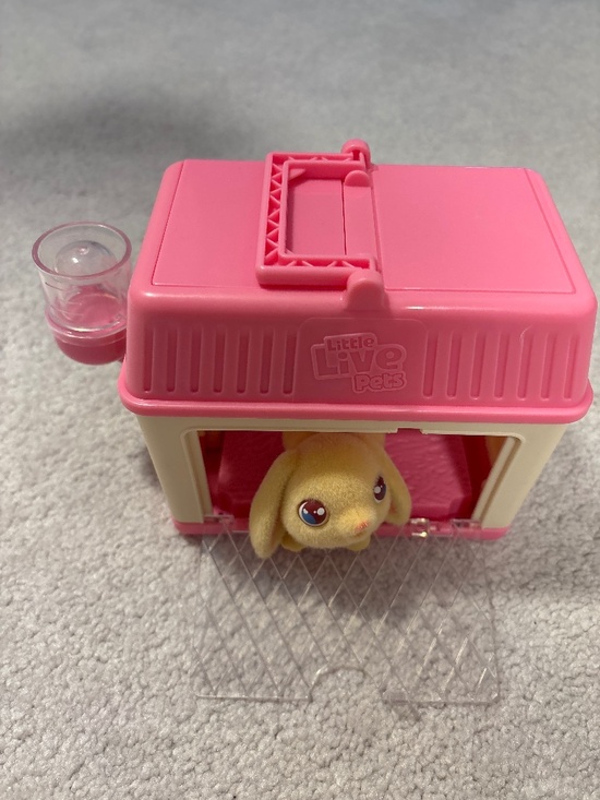 Other - Pets alive bunny in cage